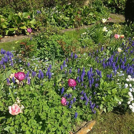 Yew Tree Cottage B&B Stow-on-the-Wold Extérieur photo